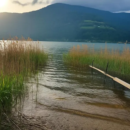 Lakeview Ostriach